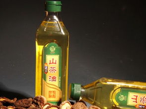 食用油選擇指南 從標簽到搭配，科學選油更健康